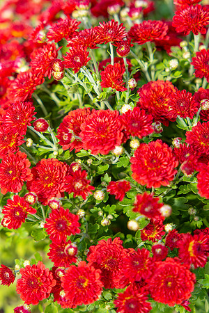 196A8821-Enhanced-NR