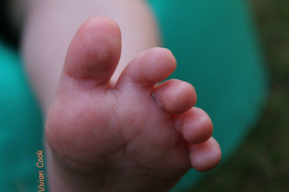 Baby foot