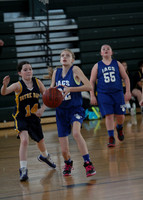 IACS MS JV Girls Basketball 2014